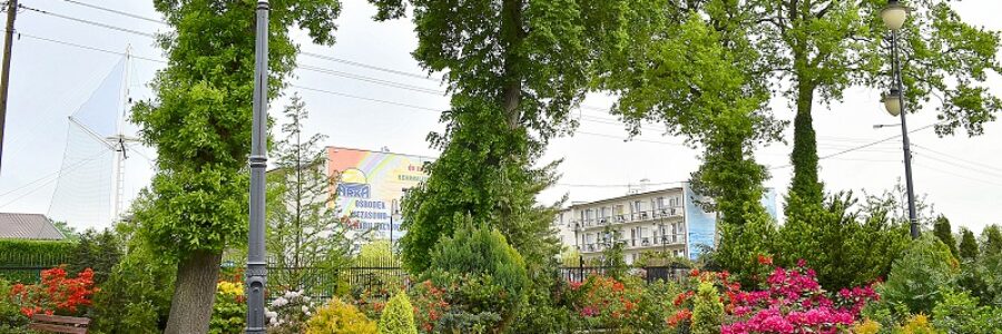 DSC5787