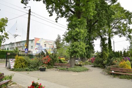 DSC5791