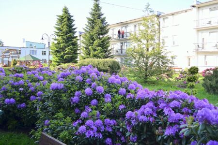 DSC5857