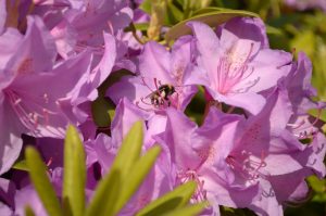 DSC_5144 DSC_5144