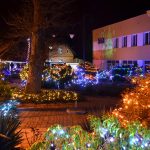 arkaswDSC_1547 arkaswDSC_1547