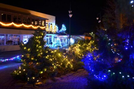 arkaswDSC_1616