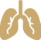 Pluca
